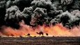 Kuvajt, 1990. „V průběhu první války v Perském zálivu jsme jeli se skupinou fotografů kolem hořících naftových polí v al-Ahmadí a najednou na horizontu vidíme několik velbloudů snažících se uniknout tomu hroznému žáru a kouři. Až následně jsme se dozvěděli, že jsme se – my i velbloudi – pohybovali v minovém poli. Můžete mi věřit, že nás polila hrůza.“