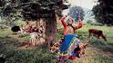 Indie, 1995. „V indickém Rádžasthánu pořádají vždy před příchodem monzunů festival Týdž. Celé rodiny přes den vyrážejí do přírody na pikniky a mladé, ještě nesezdané dívky se oblékají do pestrobarevného oblečení…“