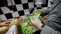 Kontrola salátu: Šábesový sobotní oběd musíte uvařit v pátek, v sobotu se nesmí ani ohřívat