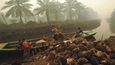Palma se v pralesích na Borneu  pěstuje už více než třicet let,  její spotřeba ale exponenciálně roste