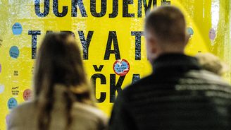 Pavěda vítězí: Vejde epidemie covid-19 do českých moderních dějin jako pandemie hlouposti?