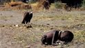 Kevin Carter vyfotil v jižním Súdánu roku 1993 hladovějící dítě s dravcem v pozadí. Za snímek získal Pulitzerovu cenu, měsíc poté spáchal sebevraždu.