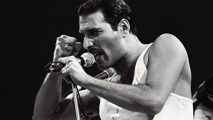 I když se stal synonymem suverénní rockové hvězdy, zpěvák skupiny Queen bojoval s vnitřní nejistotou, pramenící z toho, že se cítil vyčleněný z mainstreamové britské společnosti