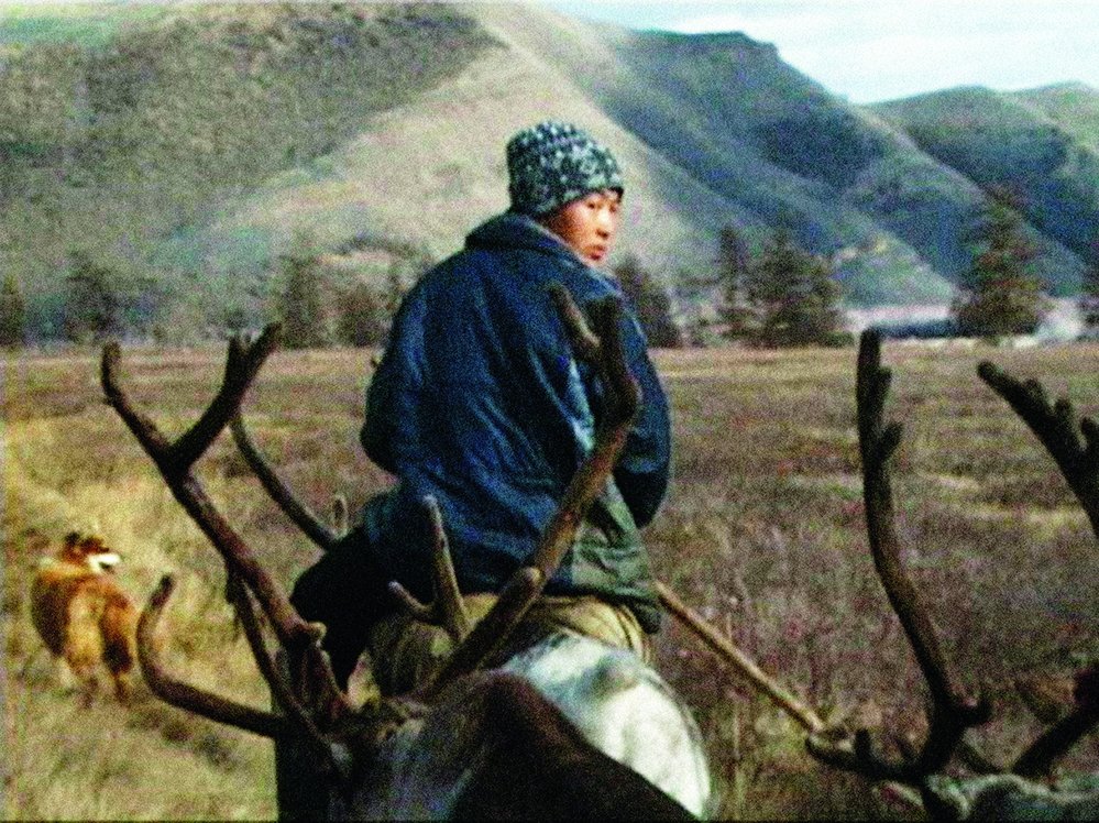 Dokument Martina Ryšavého Afoňka už nechce pást soby o mladém sibiřském pastevci Afanasijovi se stal v roce 2004 vítězným snímkem MFDF Jihlava