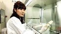 Japonská genetička Haruko Obokataová navrhla postup výroby kmenových buněk, který ale nefungoval