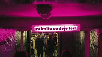 Intimity bez káravého pohledu aneb Jak vypadá festival erotiky bez upocených šmíráků Intimity bez káravého pohledu aneb Jak vypadá festival erotiky bez upocených šmíráků
