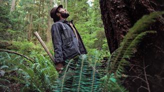 Meditace o duši a podstatě Ameriky. Ve filmové adaptaci klasické novely Sny o vlacích je cesta cílem Meditace o duši a podstatě Ameriky. Ve filmové adaptaci klasické novely Sny o vlacích je cesta cílem