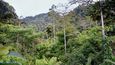 Gunang Leuser je nejvýznamnější z národních parků na Sumatře. Přirozené lesní porosty mimo chráněná území téměř neexistují.