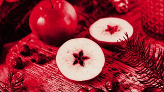 25 z 2025: To nejlepší z (především) tuzemské kultury za uplynulý rok 25 z 2025: To nejlepší z (především) tuzemské kultury za uplynulý rok