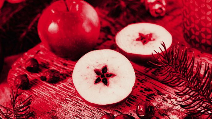 Ilustrační foto Ilustrační foto