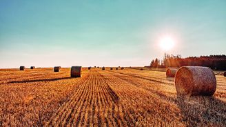 Agroholdingy sobě: Strategický plán poškozuje malé a&nbsp;střední zemědělce