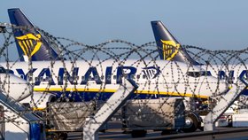 Piloti irské nízkonákladové letecké společnosti Ryanair v několika evropských zemích pořádají 24hodinovou stávku.