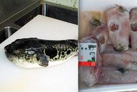 Supermarket omylem prodal prudce jedovatou rybu. Poplach hlásí v Japonsku