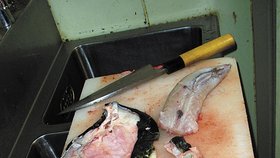 Ryba fugu musí být speciálně připravená, jinak hrozí otrava a smrt.