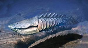 Mělké moře: Kolébka prvních ryb