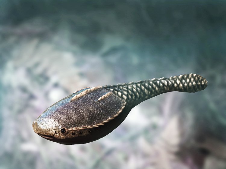 Primitivní rybovitý obratlovec vybavený pancířem žil před 455 miliony lety na území současného Colorada