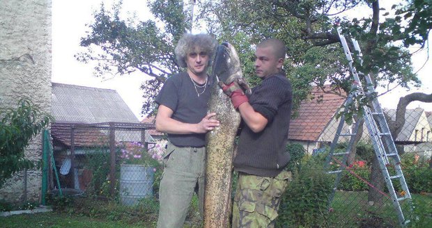 Kapitálního sumce ulovili Ondřej Skala a Dan Jedlink na řece Berounce. Jako návnadu použili plotici.