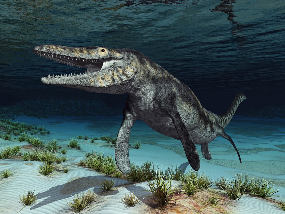 Tylosaurus měl krátký krk a jeho latinské jméno dokonce znamená „ještěr s hrbem“