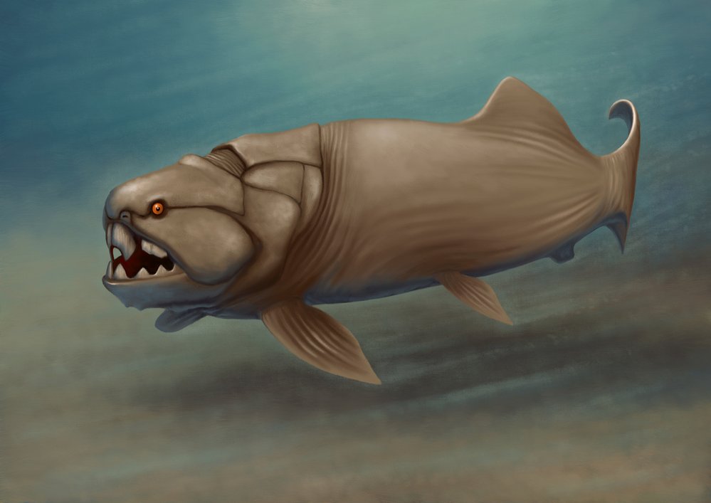 Dunkleosteus se zřejmě živil kořistí, která měla tvrdé vnější schránky