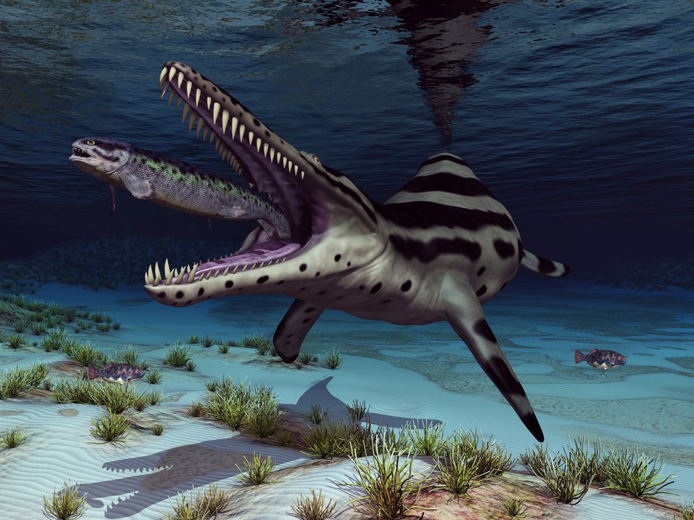 Mořský ještěr Kronosaurus měl asi 2,5 metru dlouhou lebku a 7 cm dlouhé zuby