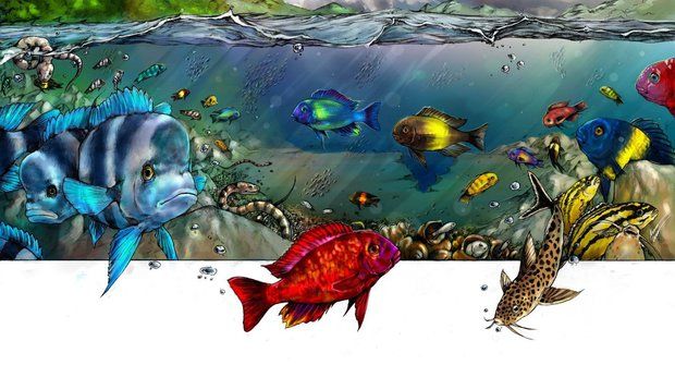 Laboratoř evoluce: Sladkovodní moře