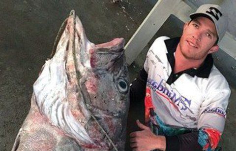 Tomu se říká úlovek! Rybář chytil 70 kilogramů vážící monstrum!
