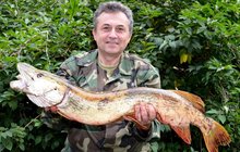 Kapitální úlovek: Rybář z Krnova vytáhl rekordní štiku!