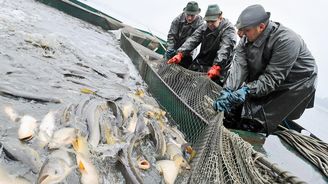 Zájem českých potravinářů o chráněná označení EU slábne kvůli papírování