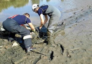 Hasiči zachraňovali ve Vyškově z rybníku Kačenec II. muže, který z neznámých důvodů uvízl ve vypuštěném rybníku.