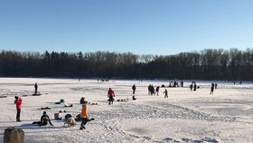 Zimní radovánky na rybnících v Hostivici u Prahy (14.2.2021)