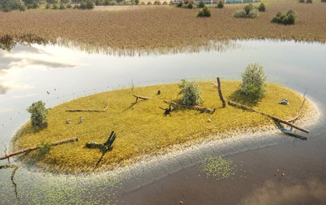 Uprostřed cenného rybníku Štěpán na Hlučínsku vzniknou ostrovy, aby k hnízdům ptáků nemohli predátoři.