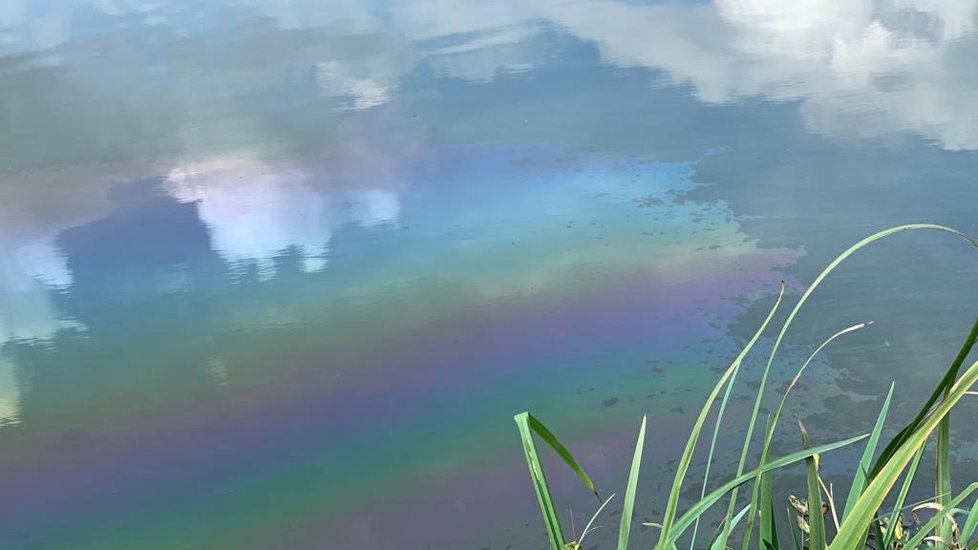 Na hladině Kyjského rybníka se objevila pestrobarevná skvrna.