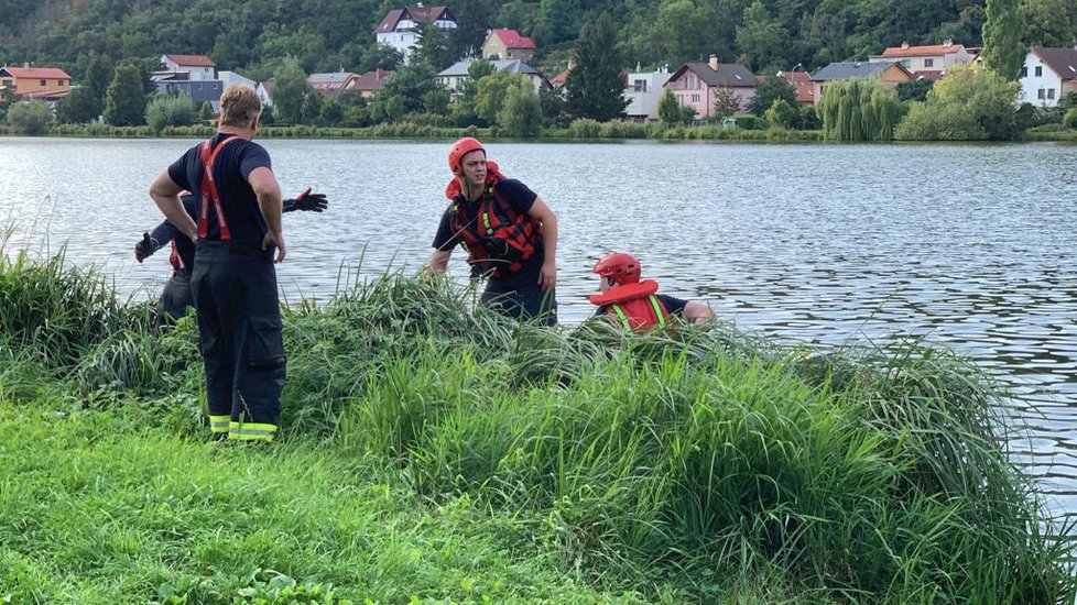 Na hladině Kyjského rybníka se objevila pestrobarevná skvrna.