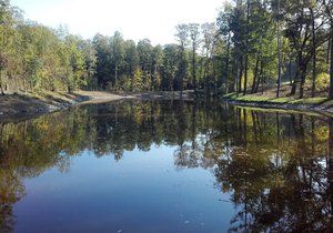 Nový rybník Lipiny na okraji Modřanské rokle.