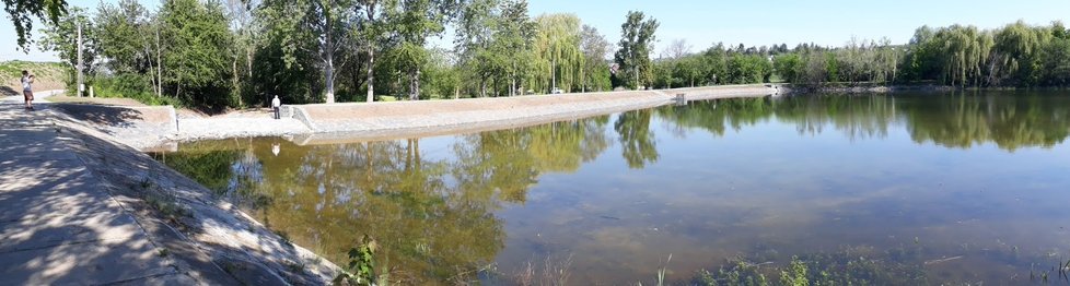 Díky revitalizaci zadrží Xaverovský rybník více vody. Zabydlují se zde i ptáci a další vodní zvířena