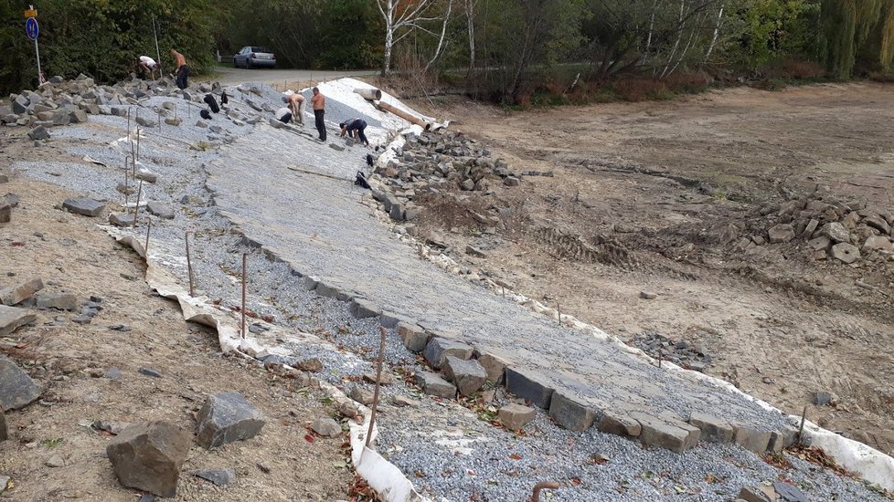 Díky revitalizaci zadrží Xaverovský rybník více vody. Zabydlují se zde i ptáci a další vodní zvířena