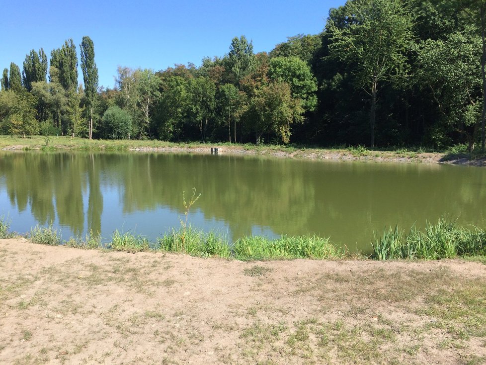 Nový rybník v Hloubětín¨ě je menší, dotváří ale místní atmosféru.