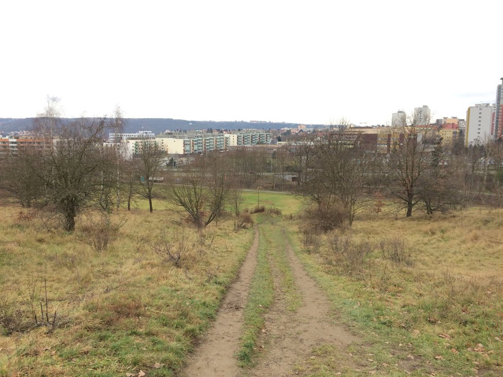 Pohled na oblast Modřanské rokle, kde rybník vzniká.