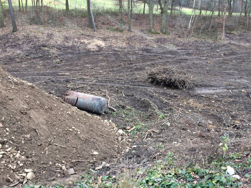 Hotovo má být v červnu, kromě rybníka se má objevit také tůň a mokřad.