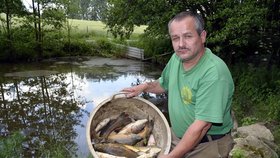 Karel Bobál smutně loví mrtvé ryby, které plavou po hladině rybníka