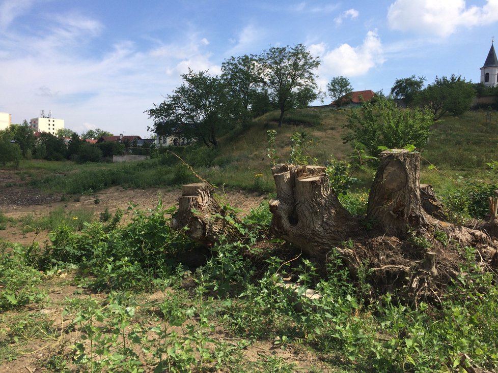 V Liboci za kostelem sv. Fabiána a Šebestiána vzniká nový rybník. Dříve tu bylo nevzhledné území s harampádím.