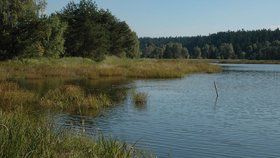 Šokující nález v rybníku na Slovensku: Na hladině plula mrtvola se šňůrou kolem krku!