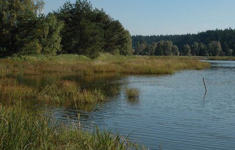 Kuriózní záchrana v Praze: Po rybníce plula holčička (9) na kládě, neuměla plavat