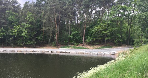 Rybník v Mydlinkách v Praze Královicích se dočkal revitalizace. (ilustrační foto)