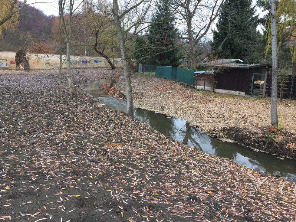 Rybník Terezka u obory Hvězda.