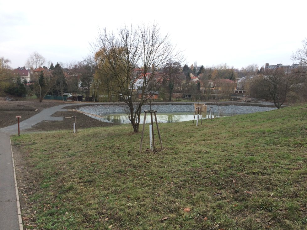 Rybník Terezka u obory Hvězda se napouští. Místo se proměnilo k nepoznání.