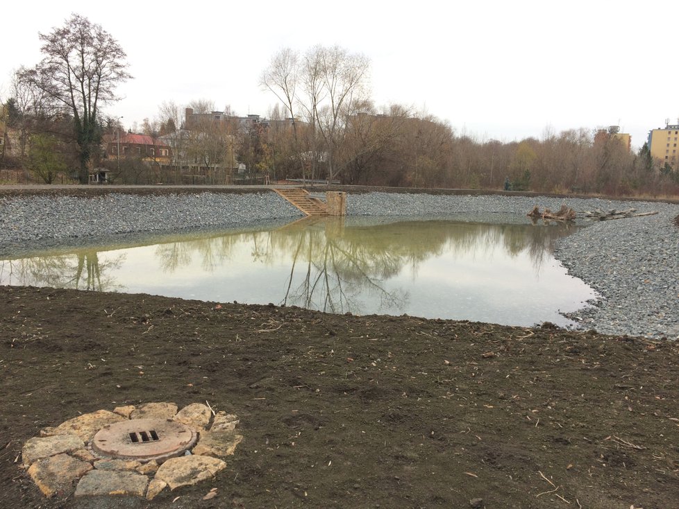 Rybník Terezka u obory Hvězda.