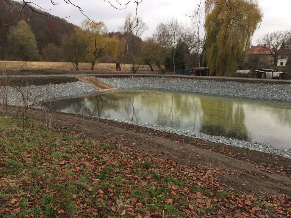 Rybník Terezka u obory Hvězda se napouští. Místo se proměnilo k nepoznání.