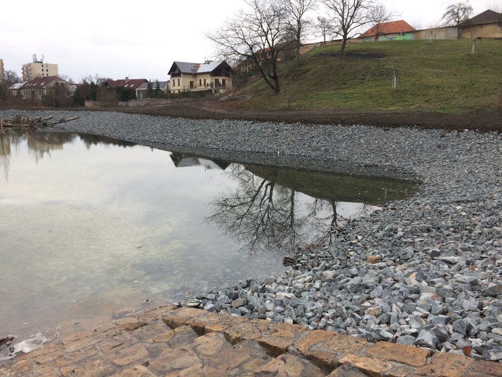 Rybník Terezka u obory Hvězda se napouští. Místo se proměnilo k nepoznání.