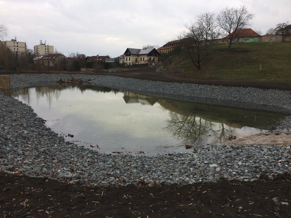 Rybník Terezka u obory Hvězda.